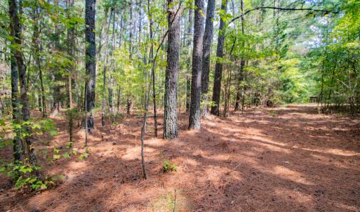 Photo #9 of SOLD property in Off Jeffries Cross Road, Burlington, NC 7.3 acres