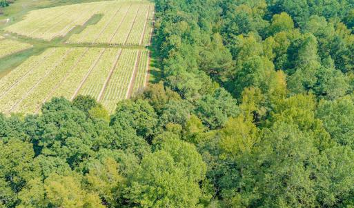 Photo #12 of SOLD property in Off Jeffries Cross Road, Burlington, NC 7.3 acres