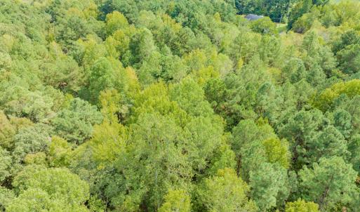 Photo #13 of SOLD property in Off Jeffries Cross Road, Burlington, NC 7.3 acres