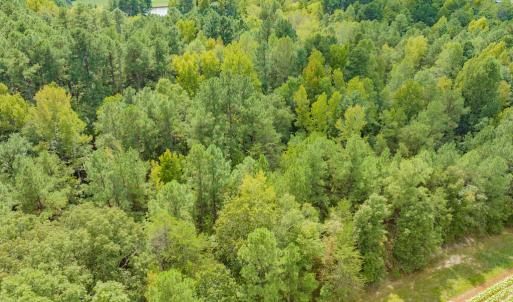 Photo #14 of SOLD property in Off Jeffries Cross Road, Burlington, NC 7.3 acres