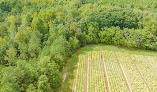 Photo #15 of SOLD property in Off Jeffries Cross Road, Burlington, NC 7.3 acres