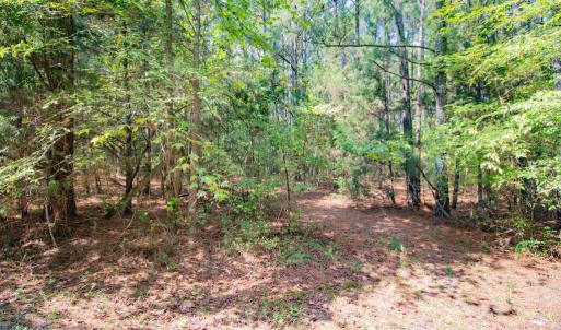 Photo #5 of SOLD property in Off Jeffries Cross Road, Burlington, NC 7.3 acres