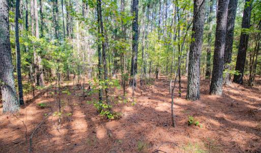 Photo #7 of SOLD property in Off Jeffries Cross Road, Burlington, NC 7.3 acres