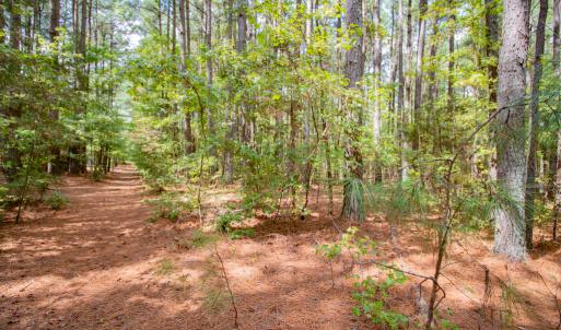 Photo #8 of SOLD property in Off Jeffries Cross Road, Burlington, NC 7.3 acres