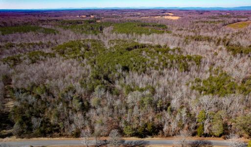 Photo #2 of SOLD property in Off Nannie Burton Road, Louisa, VA 63.1 acres
