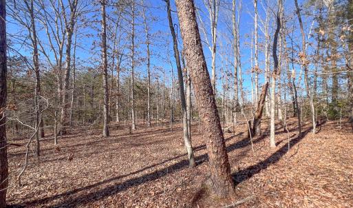 Photo #3 of SOLD property in Off Nannie Burton Road, Louisa, VA 63.1 acres