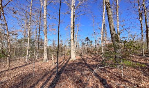 Photo #7 of SOLD property in Off Nannie Burton Road, Louisa, VA 63.1 acres