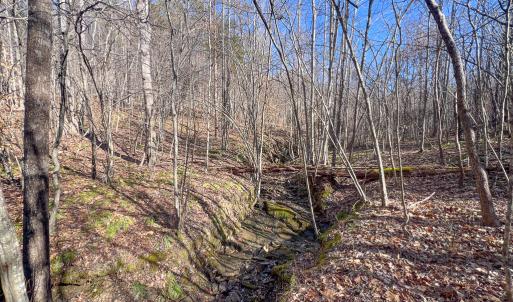 Photo #9 of SOLD property in Off Nannie Burton Road, Louisa, VA 63.1 acres
