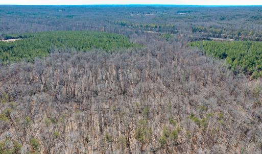 Photo #10 of SOLD property in Off Nannie Burton Road, Louisa, VA 63.1 acres