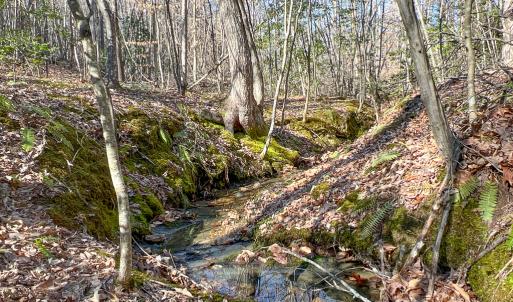 Photo #11 of SOLD property in Off Nannie Burton Road, Louisa, VA 63.1 acres