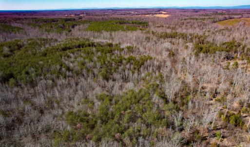 Photo #12 of SOLD property in Off Nannie Burton Road, Louisa, VA 63.1 acres