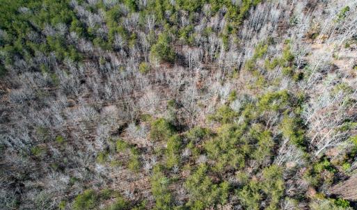 Photo #14 of SOLD property in Off Nannie Burton Road, Louisa, VA 63.1 acres