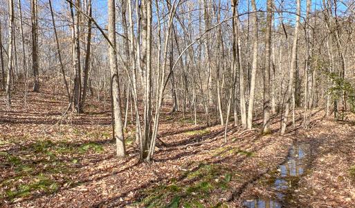 Photo #15 of SOLD property in Off Nannie Burton Road, Louisa, VA 63.1 acres