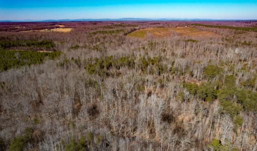 Photo #16 of SOLD property in Off Nannie Burton Road, Louisa, VA 63.1 acres