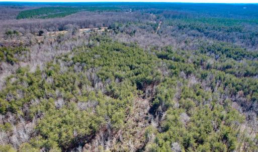 Photo #18 of SOLD property in Off Nannie Burton Road, Louisa, VA 63.1 acres