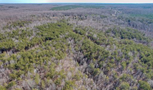 Photo #19 of SOLD property in Off Nannie Burton Road, Louisa, VA 63.1 acres