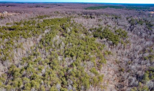 Photo #21 of SOLD property in Off Nannie Burton Road, Louisa, VA 63.1 acres