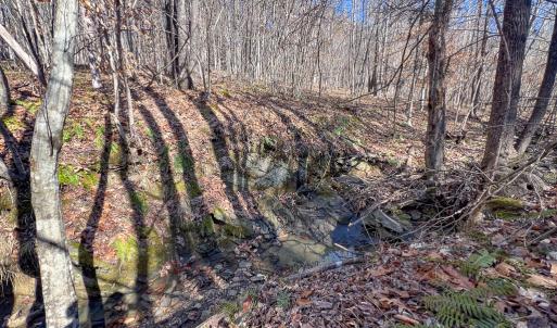 Photo #22 of SOLD property in Off Nannie Burton Road, Louisa, VA 63.1 acres