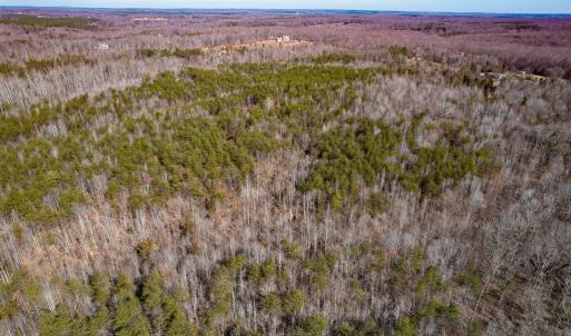 Photo #23 of SOLD property in Off Nannie Burton Road, Louisa, VA 63.1 acres