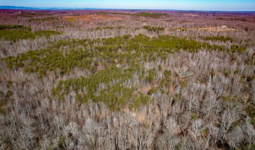 Photo #25 of SOLD property in Off Nannie Burton Road, Louisa, VA 63.1 acres
