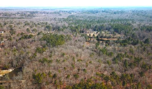 Photo #3 of SOLD property in 15908 Exter Mill Rd, Chesterfield, VA 12.3 acres