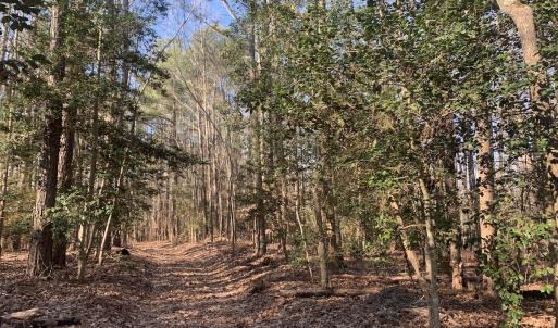 Photo #8 of SOLD property in 15908 Exter Mill Rd, Chesterfield, VA 12.3 acres