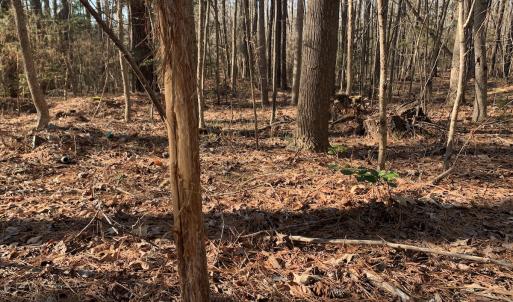 Photo #9 of SOLD property in 15908 Exter Mill Rd, Chesterfield, VA 12.3 acres
