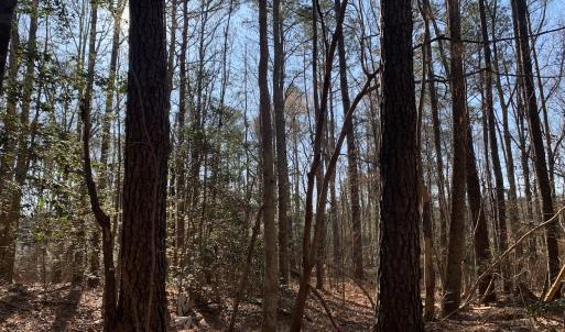 Photo #10 of SOLD property in 15908 Exter Mill Rd, Chesterfield, VA 12.3 acres