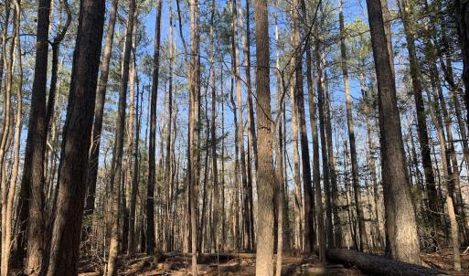 Photo #11 of SOLD property in 15908 Exter Mill Rd, Chesterfield, VA 12.3 acres