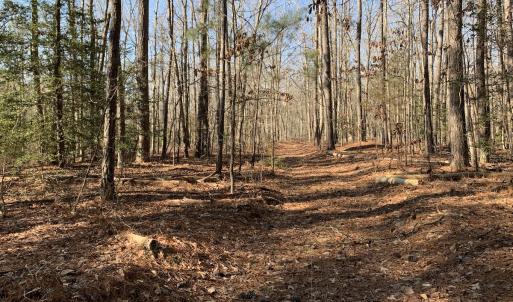 Photo #12 of SOLD property in 15908 Exter Mill Rd, Chesterfield, VA 12.3 acres