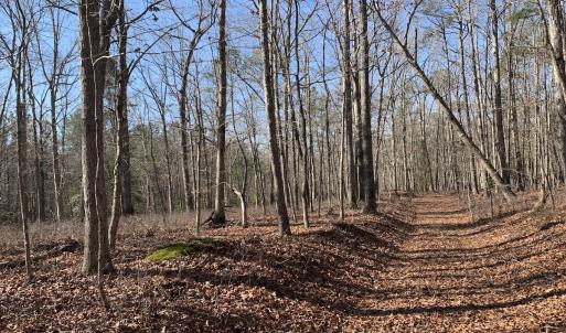 Photo #14 of SOLD property in 15908 Exter Mill Rd, Chesterfield, VA 12.3 acres