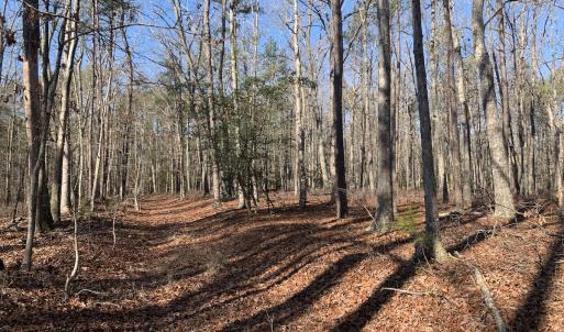 Photo #15 of SOLD property in 15908 Exter Mill Rd, Chesterfield, VA 12.3 acres