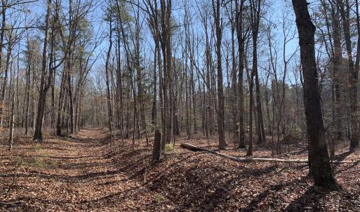 Photo #16 of SOLD property in 15908 Exter Mill Rd, Chesterfield, VA 12.3 acres