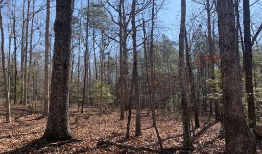 Photo #17 of SOLD property in 15908 Exter Mill Rd, Chesterfield, VA 12.3 acres