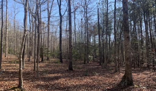 Photo #19 of SOLD property in 15908 Exter Mill Rd, Chesterfield, VA 12.3 acres