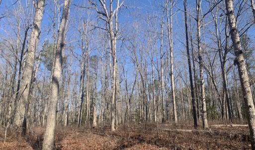 Photo #20 of SOLD property in 15908 Exter Mill Rd, Chesterfield, VA 12.3 acres