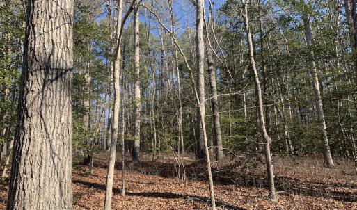Photo #21 of SOLD property in 15908 Exter Mill Rd, Chesterfield, VA 12.3 acres