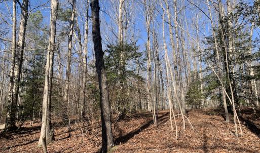 Photo #22 of SOLD property in 15908 Exter Mill Rd, Chesterfield, VA 12.3 acres