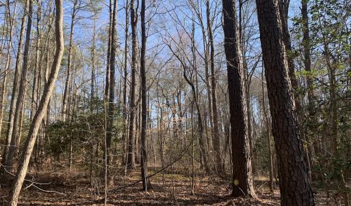 Photo #24 of SOLD property in 15908 Exter Mill Rd, Chesterfield, VA 12.3 acres