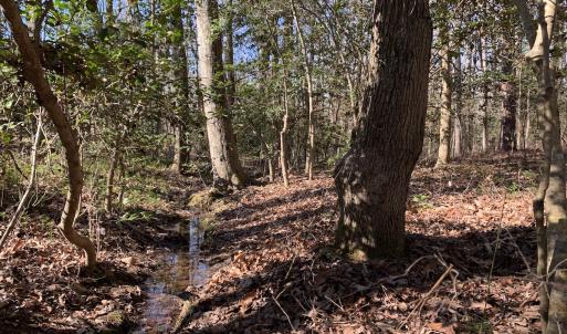Photo #25 of SOLD property in 15908 Exter Mill Rd, Chesterfield, VA 12.3 acres