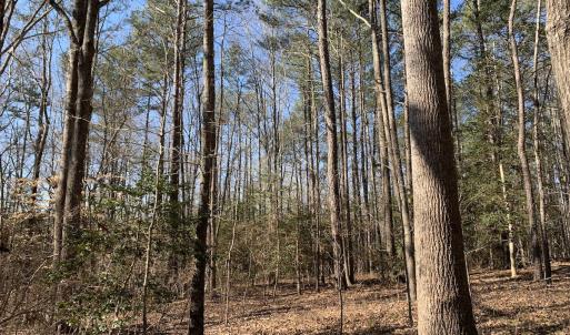 Photo #26 of SOLD property in 15908 Exter Mill Rd, Chesterfield, VA 12.3 acres