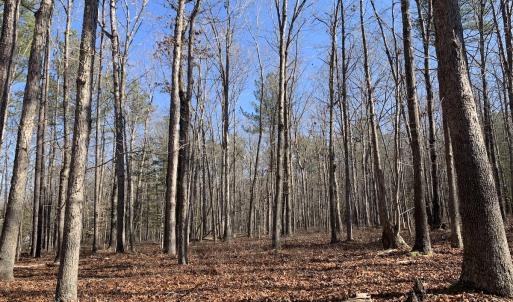 Photo #27 of SOLD property in 15908 Exter Mill Rd, Chesterfield, VA 12.3 acres