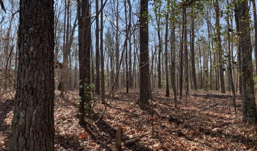 Photo #28 of SOLD property in 15908 Exter Mill Rd, Chesterfield, VA 12.3 acres