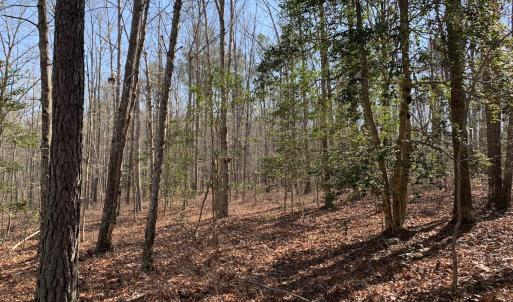 Photo #29 of SOLD property in 15908 Exter Mill Rd, Chesterfield, VA 12.3 acres