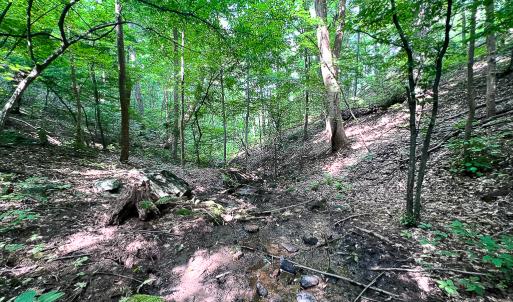 Photo #4 of SOLD property in Off Brush Mountain Trail , Covesville, VA 337.0 acres