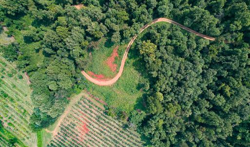Photo #6 of SOLD property in Off Brush Mountain Trail , Covesville, VA 337.0 acres