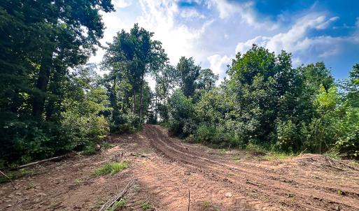 Photo #7 of SOLD property in Off Brush Mountain Trail , Covesville, VA 337.0 acres