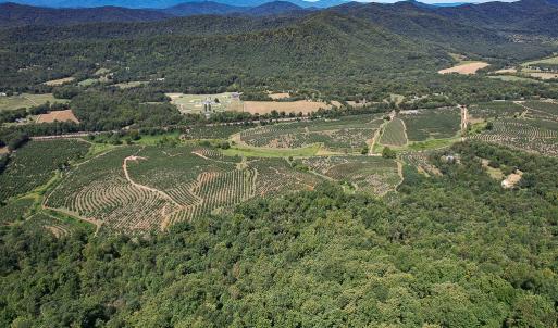 Photo #9 of SOLD property in Off Brush Mountain Trail , Covesville, VA 337.0 acres