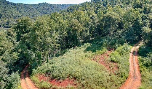 Photo #11 of SOLD property in Off Brush Mountain Trail , Covesville, VA 337.0 acres