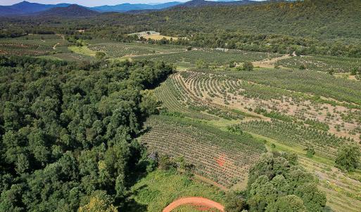 Photo #12 of SOLD property in Off Brush Mountain Trail , Covesville, VA 337.0 acres